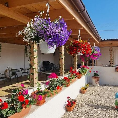 Soliday Vama Veche Exterior photo